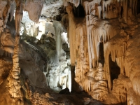 Cueva de Nerja.jpg