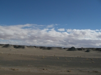 Painted desert